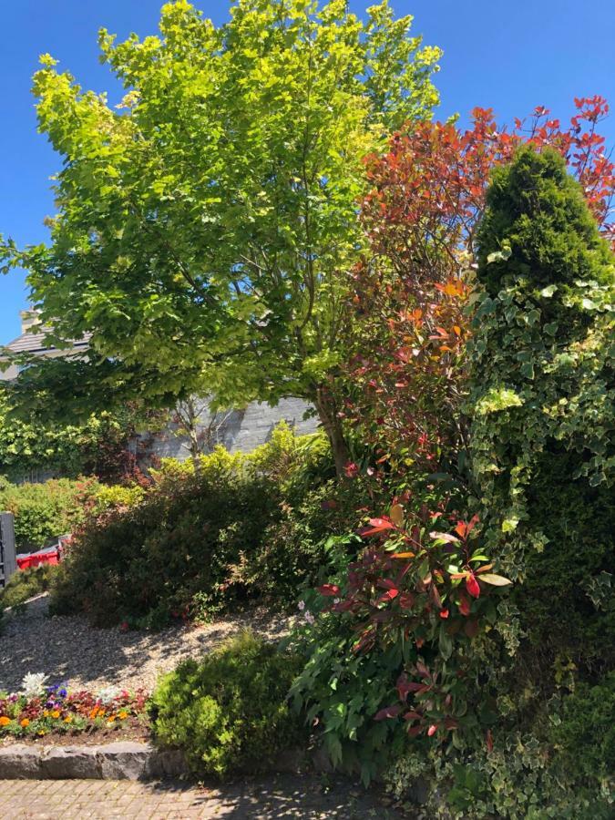 Bed and Breakfast Amber Hill Galway Esterno foto